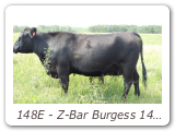 148E - Z-Bar Burgess 148E
ZBR 148E - View Pedigree