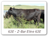63E - Z-Bar Eline 63E
ZBR 63E - View Pedigree