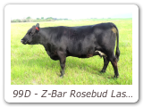 99D - Z-Bar Rosebud Lass 99D
ZBR 99D - View Pedigree