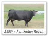 218W - Remington Royal Velvet 218W
RCC 218W - View Pedigree