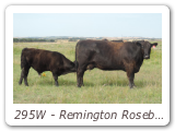 295W - Remington Rosebud Lass 295W
RCC 295W - View Pedigree