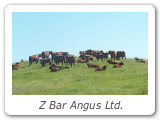 Z Bar Angus Ltd.