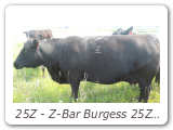 25Z - Z-Bar Burgess 25Z
ZBR 25Z - View Pedigree
