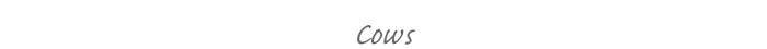 Cows