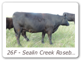 26F - Sealin Creek Rosebud 26F
PAK 26F - View Pedigree