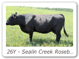 26Y - Sealin Creek Rosebud 26Y
PAK 26Y - View Pedigree