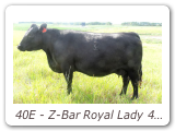 40E - Z-Bar Royal Lady 40E
ZBR 40E - View Pedigree