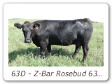 63D - Z-Bar Rosebud 63D
ZBR 63D - View Pedigree