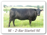 9E - Z-Bar Startell 9E
ZBR 9E - View Pedigree