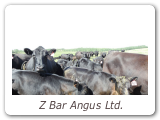 Z Bar Angus Ltd.