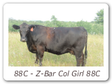 88C - Z-Bar Col Girl 88C
ZBR 88C - View Pedigree