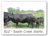 82Z - Sealin Creek Startell 82Z
PAK 82Z - View Pedigree