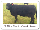 111U - Sealin Creek Rosebud 111U
PAK 111U - View Pedigree
Dam of Remington Heads Up 44Y (see Herdsires)