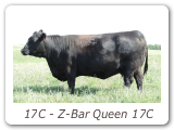 17C - Z-Bar Queen 17C
ZBR 17C - View Pedigree