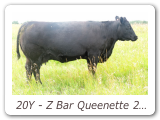 20Y - Z Bar Queenette 20Y
ZBR 20Y - View Pedigree